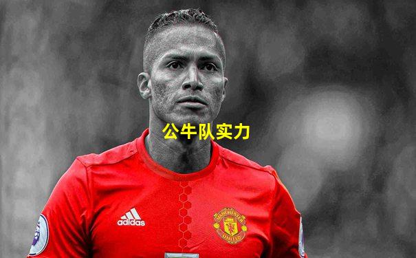 公牛队实力