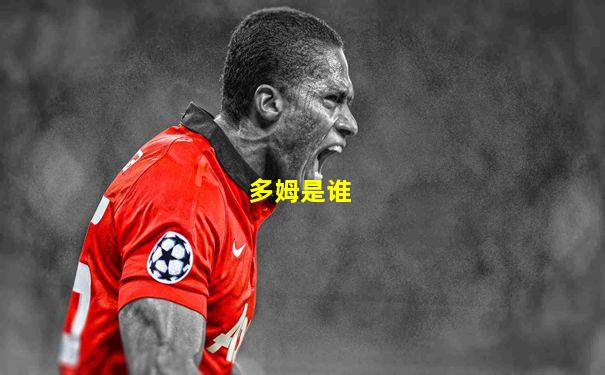 多姆是谁