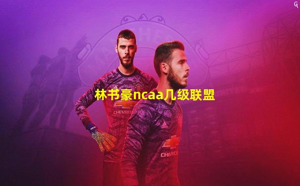 林书豪ncaa几级联盟