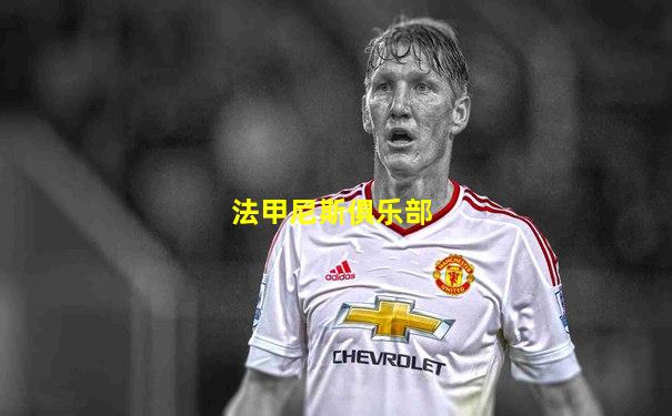 法甲尼斯俱乐部