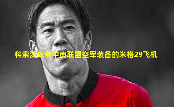 科索沃战争中南联盟空军装备的米格29飞机